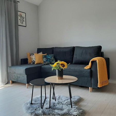 Apartament Miodowy Władysławowo المظهر الخارجي الصورة